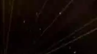 علاقة جنسية جماعية في حظيرة نادور – شهوة حيوانية متحررة