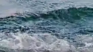 فيلم مغربية بفرنسا