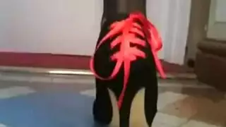 جوارب طويلة دغدغة المقيد