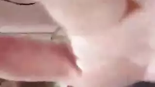 الأيرلندية الهبي القوطي