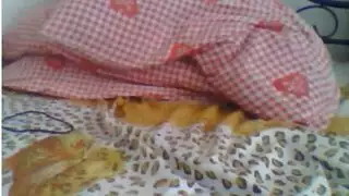 لاميتا فرنحية