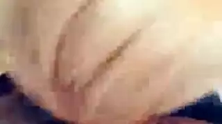 الحمار الكبير سيدة الأعمال هواة اللسان