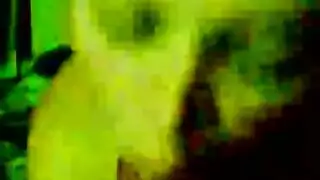 نيك فى المرحاض مقابل المال
