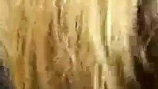 قذر لعق حذاء