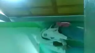 المكسكيه