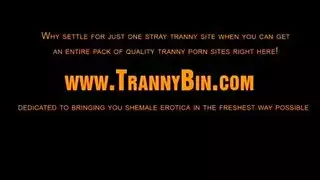 قلامسكس