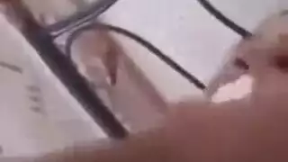 مصءي