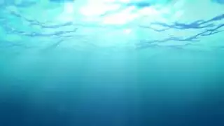 امير النوري خدامه