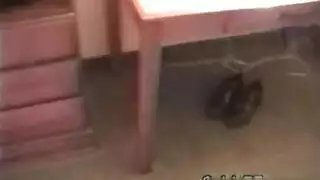 المبتدئ رائع يعطي اللسان المناسب مع فمها