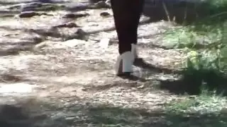 يدخل للغرفة أخاه وريد انا انيكككي
