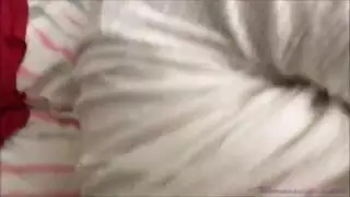 تحميل فوري لأفلام بورنو الساخنة