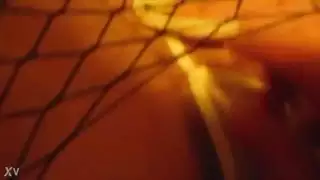 إيراني مشعر