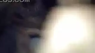 العاهرة المراهقة تحب مص القضيب واستقبال المني على لسانها