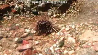 زوجين شابين يمارسان الحب في مكان عام