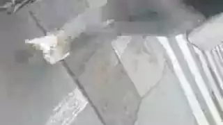 حلمات عامة دوميناس الرائعة.