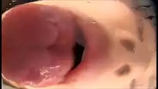 فتاة يابانية تحشو كسها المشعر ، بينما ترفع ساقيها عالياً فوق رأسها